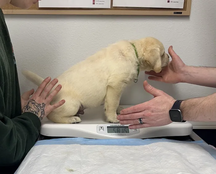 Silver Creek Animal Clinic LLC 5