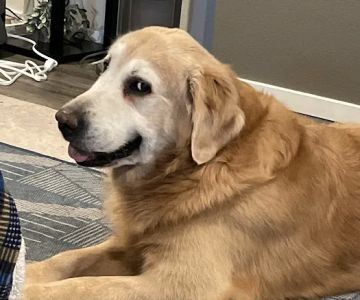 Woodburn Veterinary Clinic: Cochell, Debbie & Titus, Nancy DVM