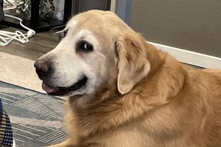 Woodburn Veterinary Clinic: Cochell, Debbie & Titus, Nancy DVM