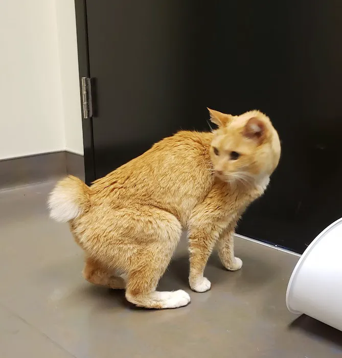 Woodburn Pet Hospital 12