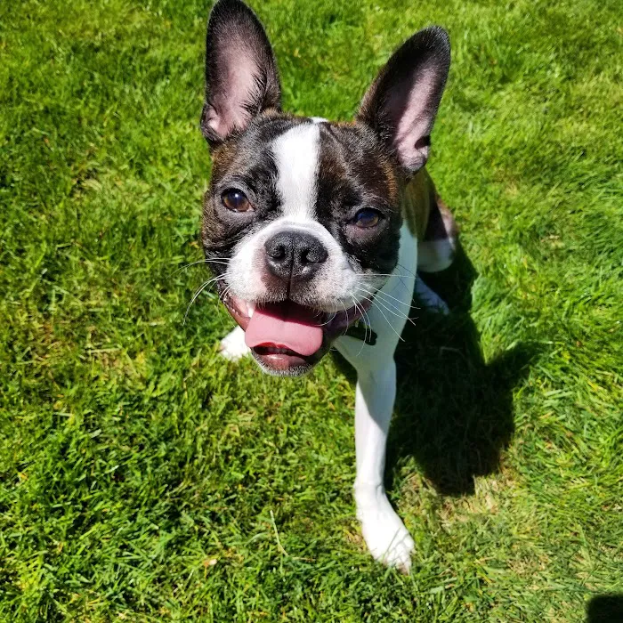Woodburn Pet Hospital 12