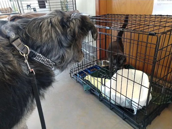 Woodburn Pet Hospital 12