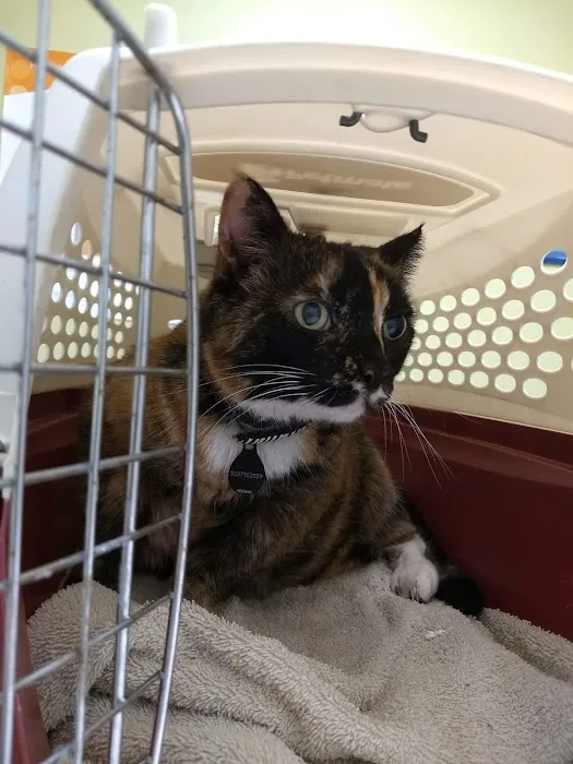 Woodburn Pet Hospital 12