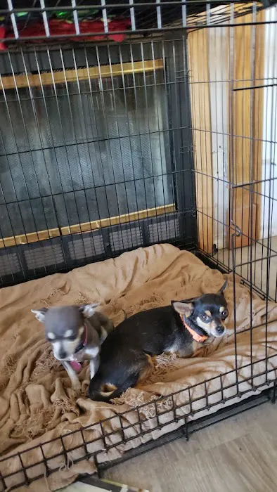 Mid-Valley Veterinary Clinic 4