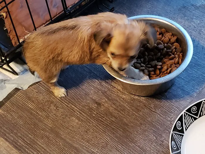 Mid-Valley Veterinary Clinic 3