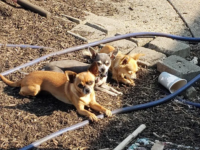 Mid-Valley Veterinary Clinic 7