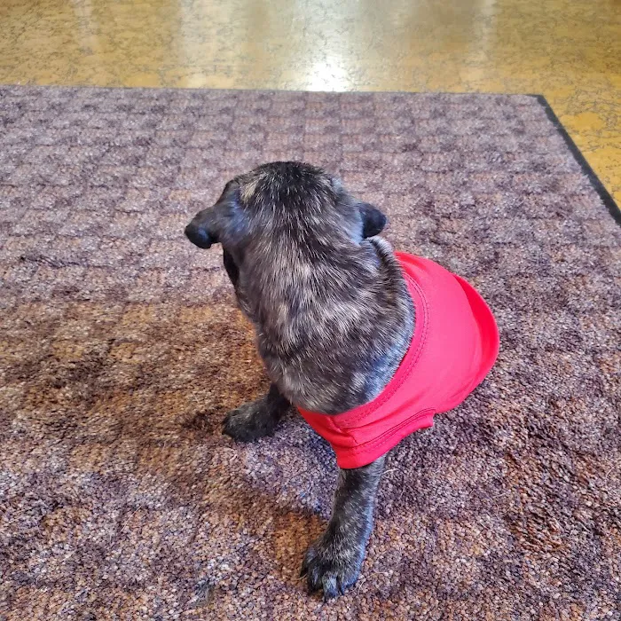 Mid-Valley Veterinary Clinic 10