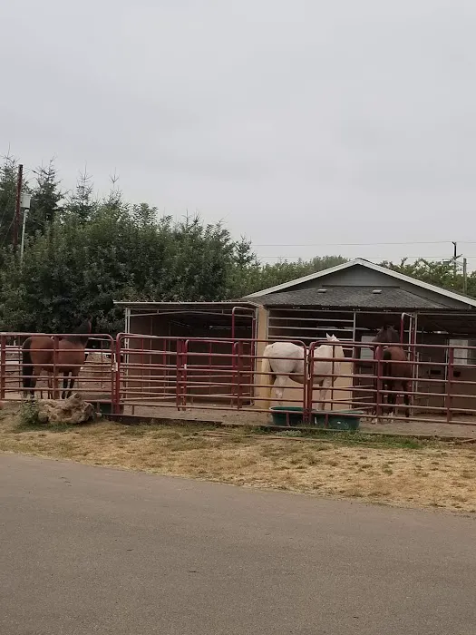 Cordon Road Veterinary Clinic-Santiam Equine 12