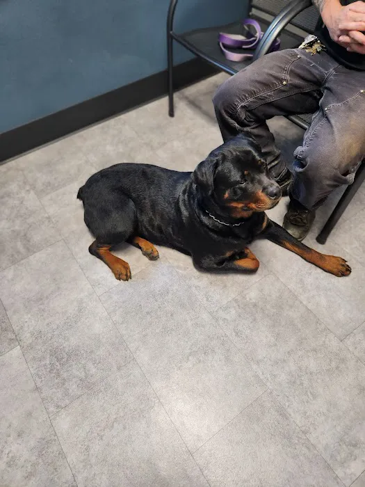 Aumsville Animal Clinic, LLC 7