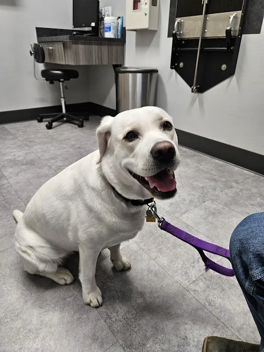 Aumsville Animal Clinic, LLC 10