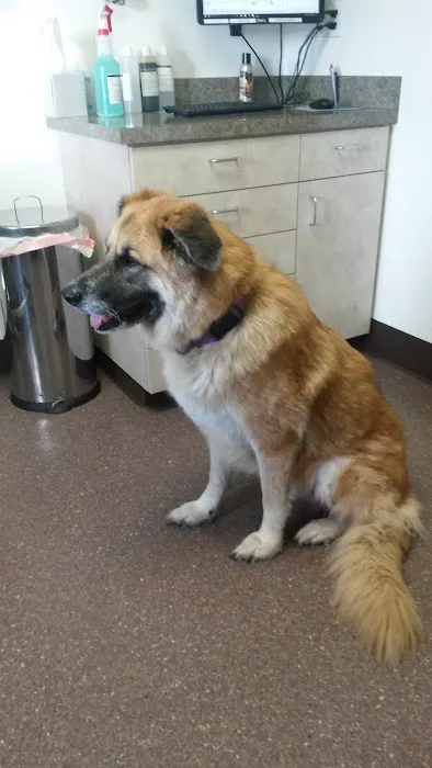 Aumsville Animal Clinic, LLC 8