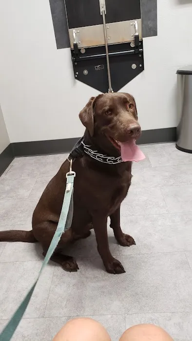 Aumsville Animal Clinic, LLC 2
