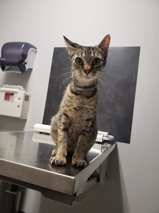 Aumsville Animal Clinic, LLC 9
