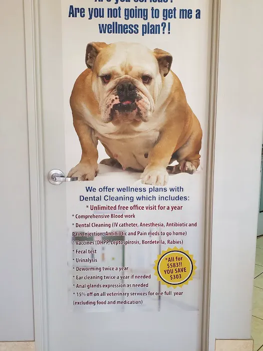 Pico Veterinary Clinic San Clemente 3