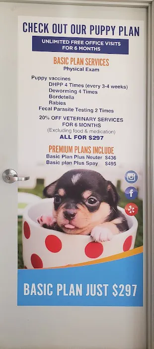 Pico Veterinary Clinic San Clemente 1