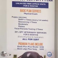Pico Veterinary Clinic San Clemente ico