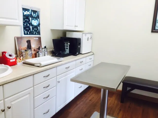 Pico Veterinary Clinic San Clemente 9