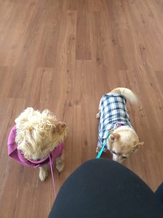 Pico Veterinary Clinic San Clemente 8