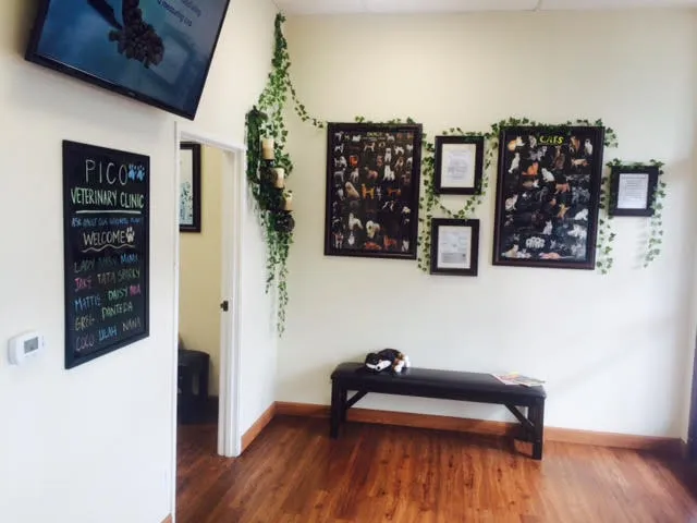 Pico Veterinary Clinic San Clemente 10