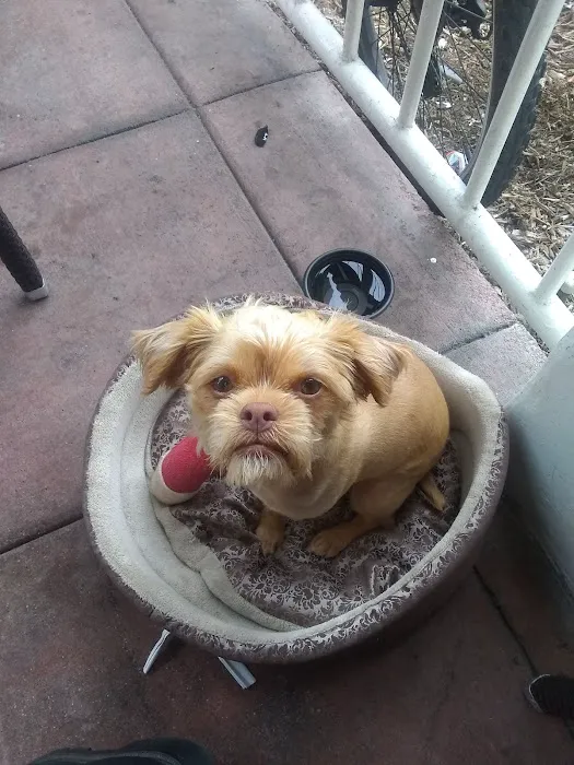 Pico Veterinary Clinic San Clemente 7