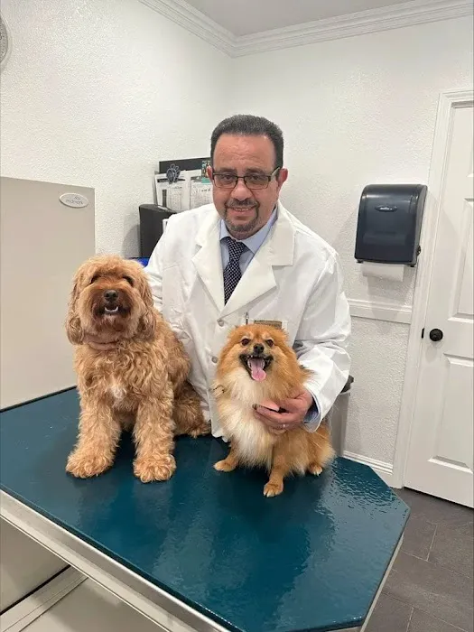 Avenida Animal Hospital 10