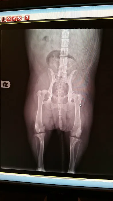 Avenida Animal Hospital 9
