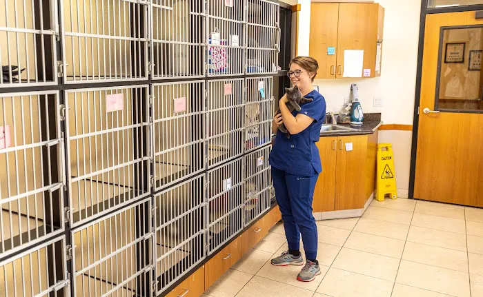 Talega Animal Hospital 10