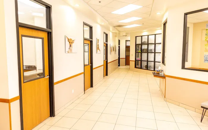 Talega Animal Hospital 1