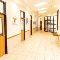 Talega Animal Hospital ico