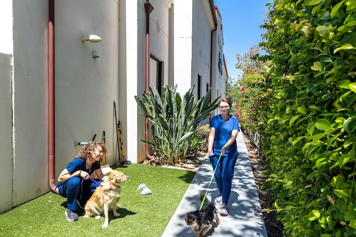 Talega Animal Hospital 5