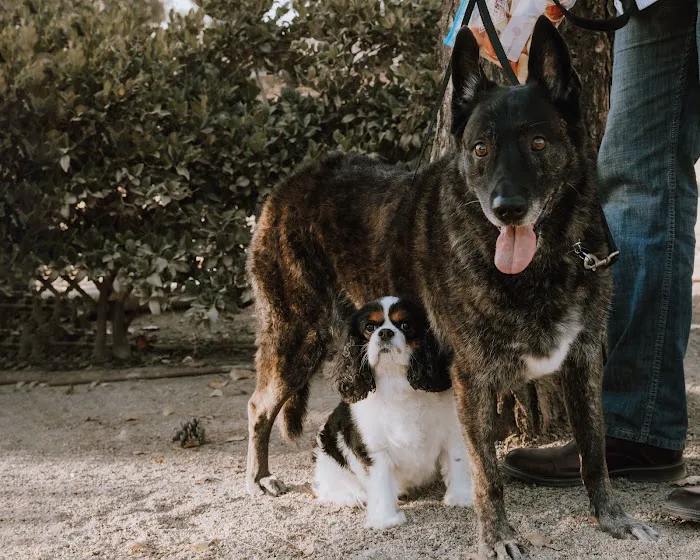 Talega Animal Hospital 8