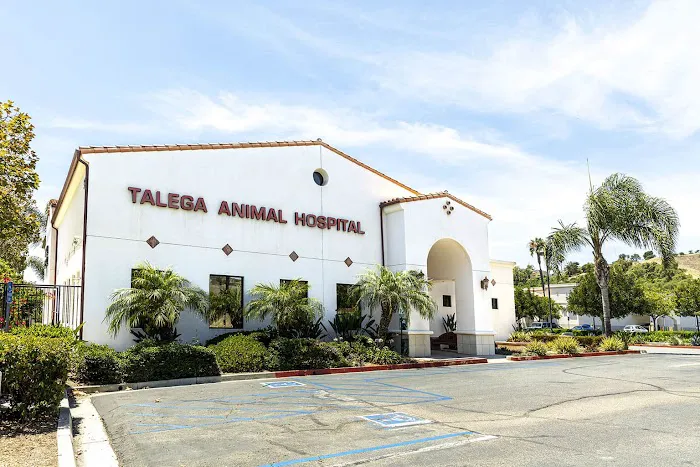 Talega Animal Hospital 4