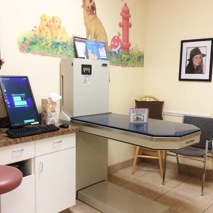 Banderas Pet Hospital & Boarding 12