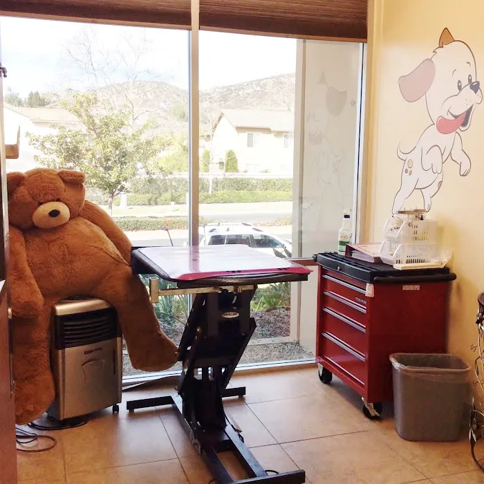 Banderas Pet Hospital & Boarding 12