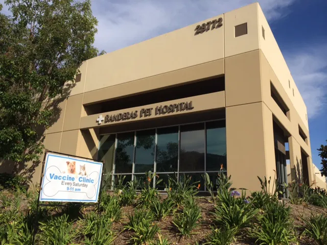 Banderas Pet Hospital & Boarding 12