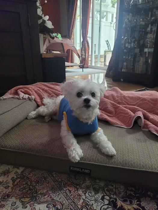 Banfield Pet Hospital 12
