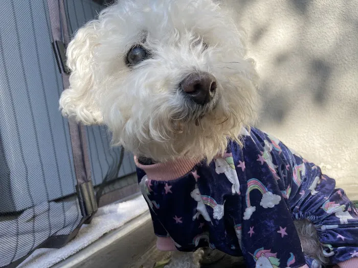 Animal Urgent Care 12