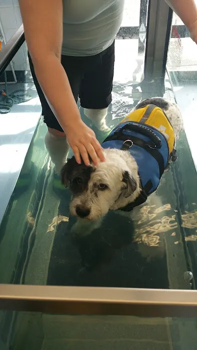 Limehouse Veterinary Clinic 5