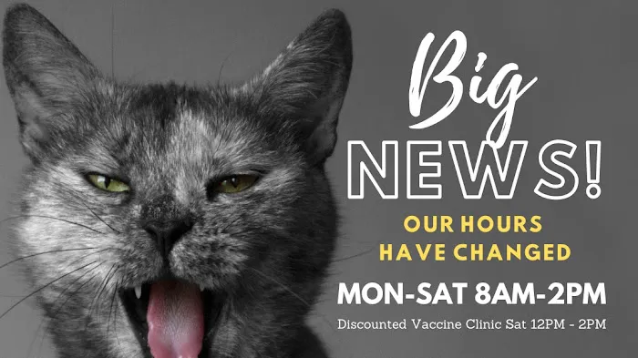 Bastet Cat Hospital, inc. 12