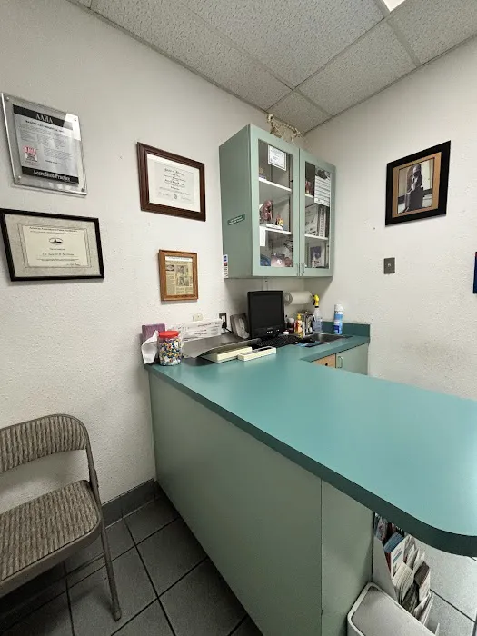 Bastet Cat Hospital, inc. 12