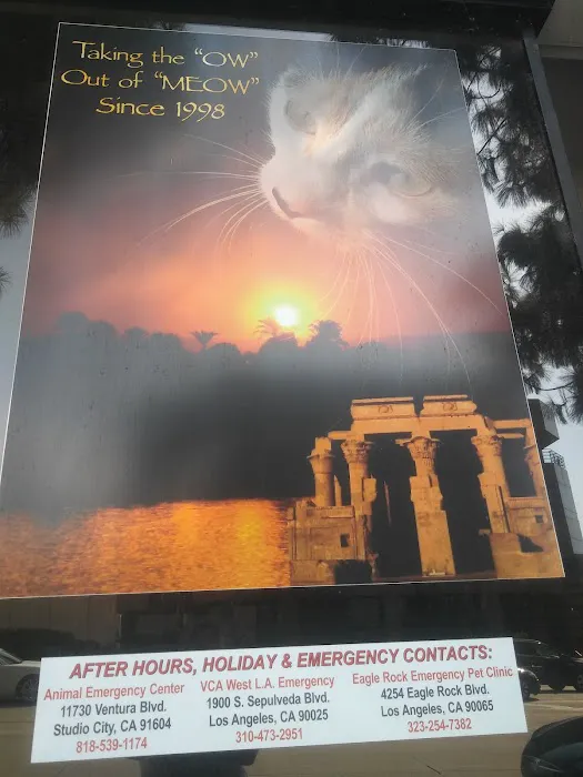 Bastet Cat Hospital, inc. 12