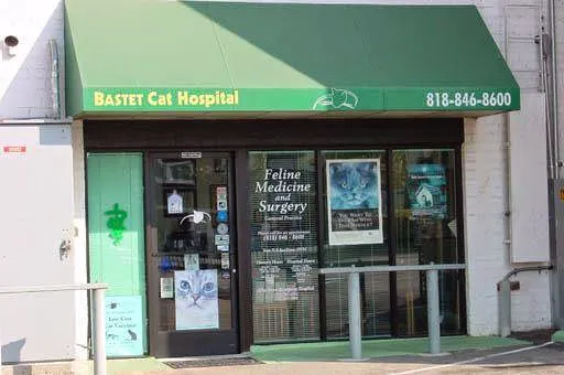 Bastet Cat Hospital, inc. 12
