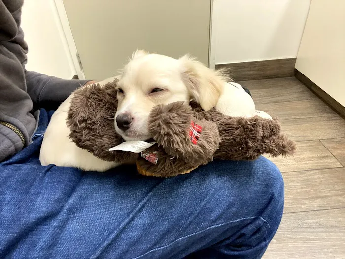 Media City Animal Hospital 3