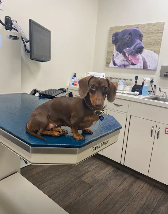 Media City Animal Hospital 7