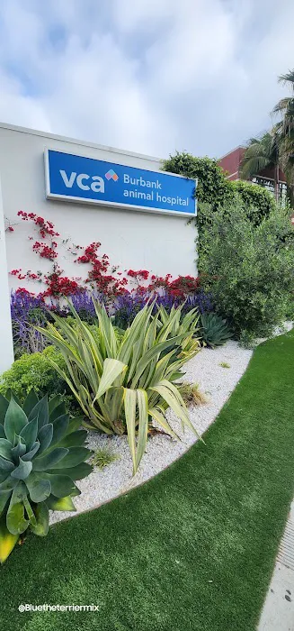 VCA Burbank Animal Hospital 12