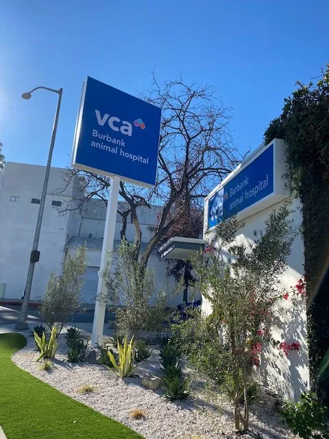 VCA Burbank Animal Hospital 12
