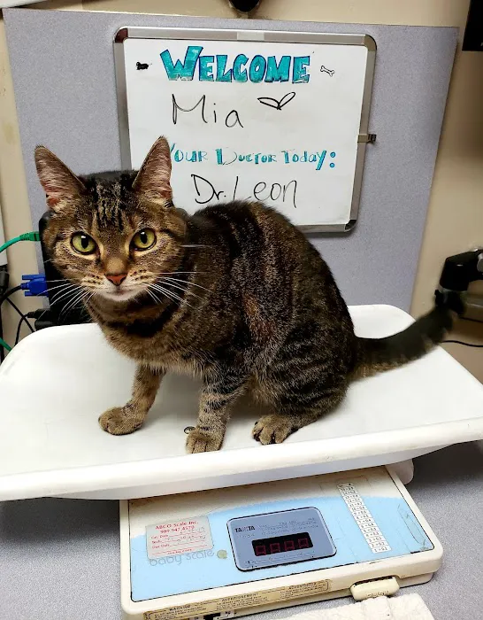 VCA Burbank Animal Hospital 12