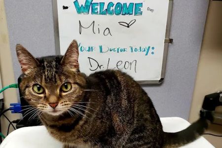 VCA Burbank Animal Hospital