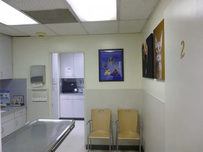 VCA Burbank Animal Hospital 12