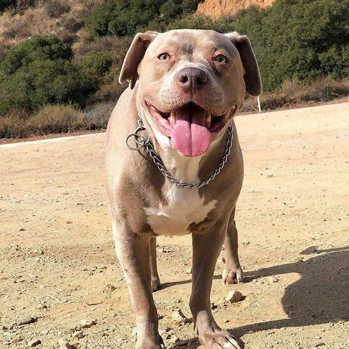 Rancho West Animal Hospital 12